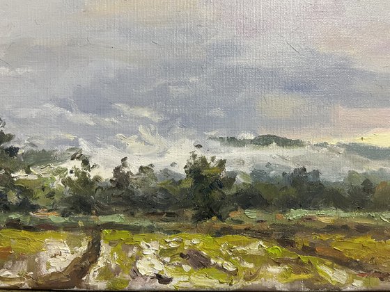 Morning Mist After the Rain