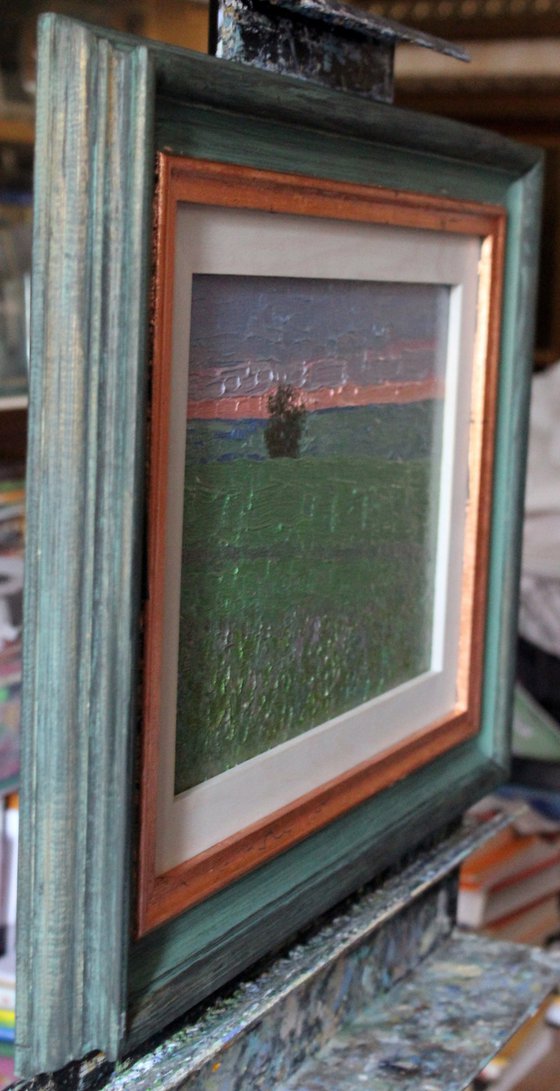 Sunset in a pea field