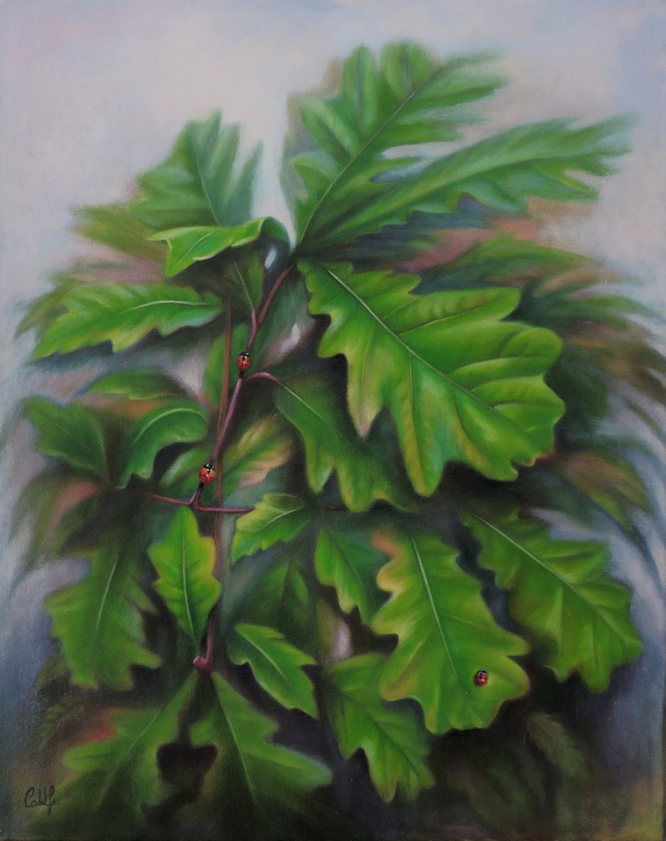 Photorealistic Botanical Oil Painting By Laura Cabral, 16 X 20", Fortaleza, Original Artwork