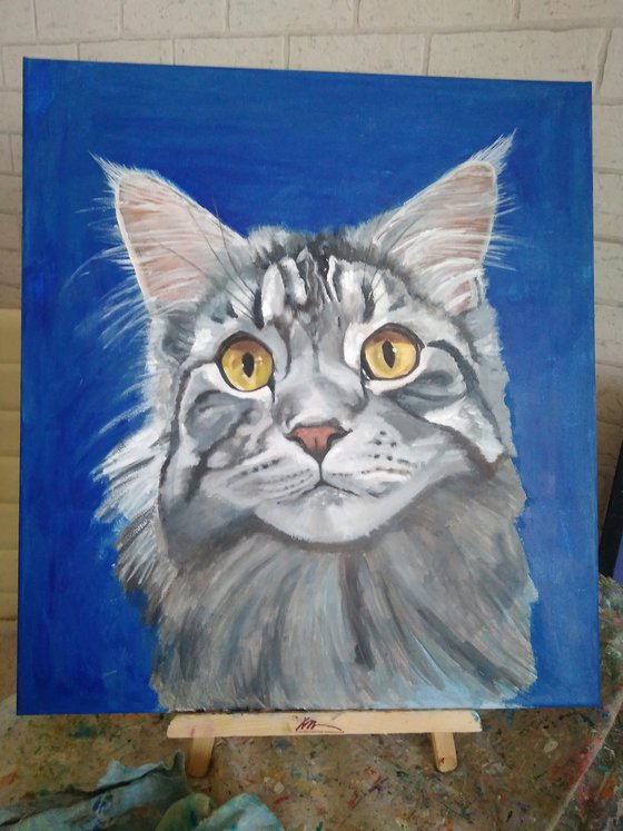 Grey Cat, Cat Oil Painting Maine Coon Original Art Pet Artwork 45x50 cm, ready to hang.