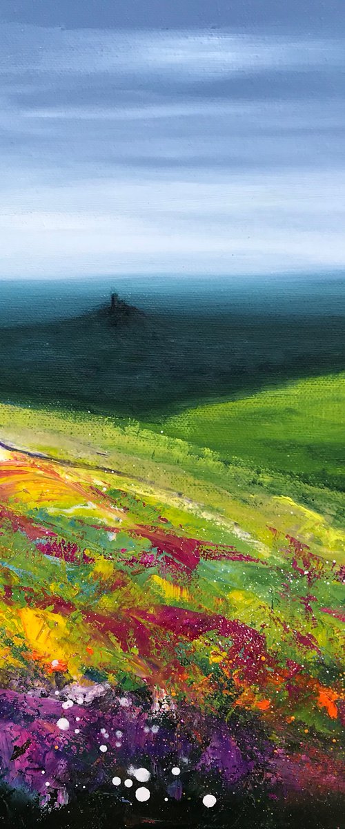 Our Beautiful Dartmoor by Laure Bury