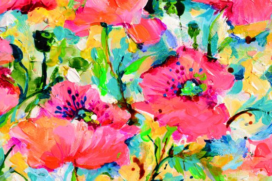 Red Opium Poppy Field