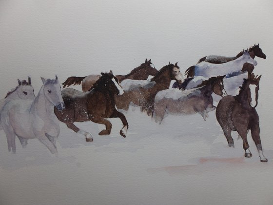 Horses in the Snow