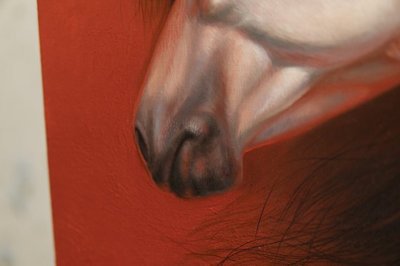 Horse Portrait