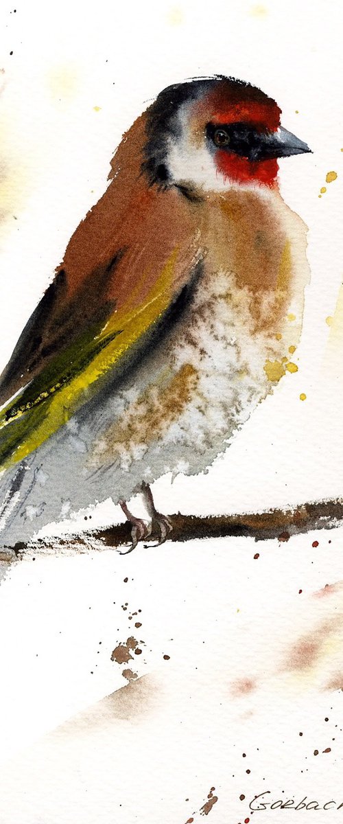Goldfinch #2 by Eugenia Gorbacheva