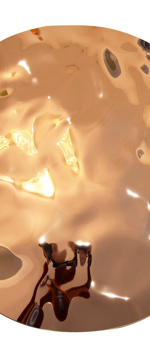 Reflections in Rose by Anna Sidi-Yacoub