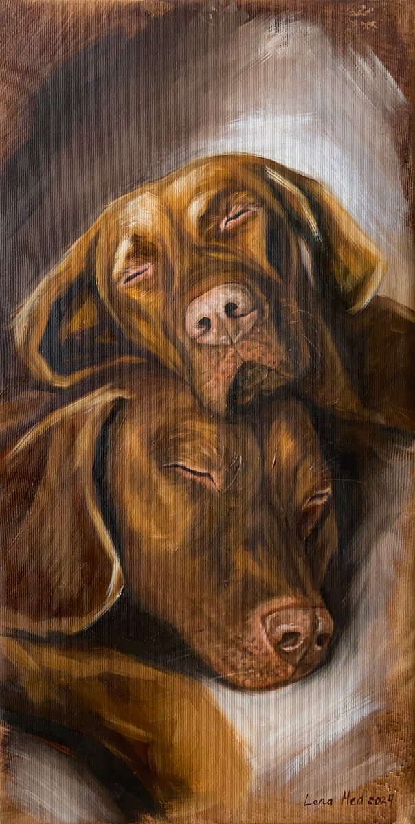 Expressive Animal Oil Painting By Lena Med, 10 X 20", Love Stories, Original Artwork