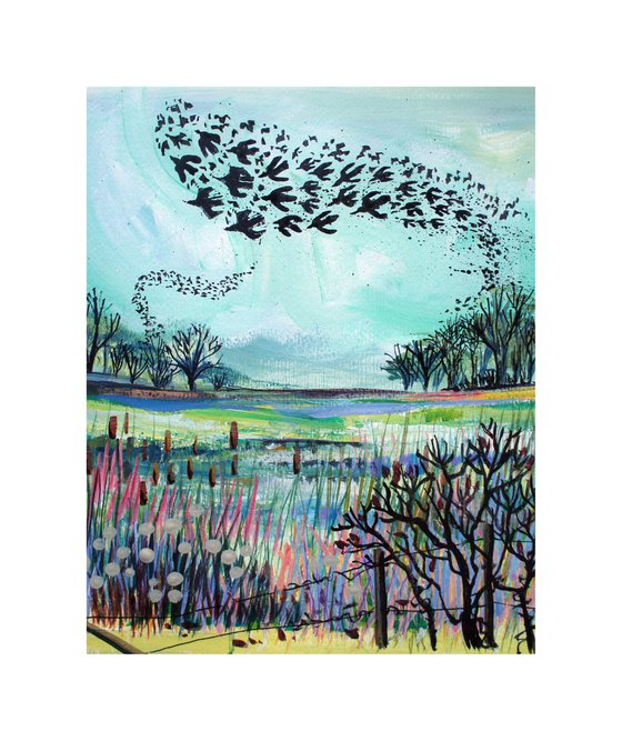 Starlings over the reedbeds