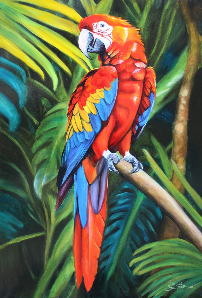 Photorealistic Animal Oil Painting By Jennie Smallenbroek, 16 X 24, Ara, Original Artwork