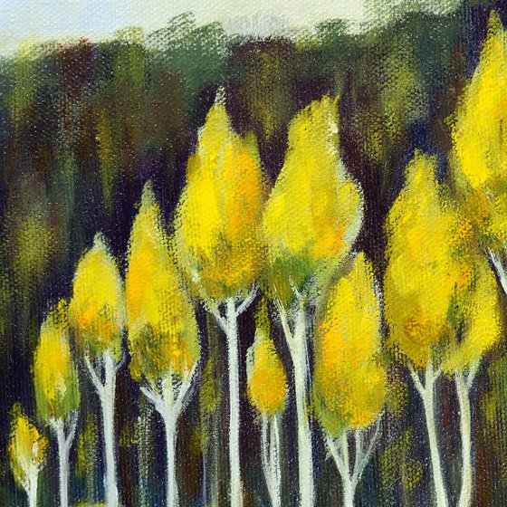 The Inviting Forest