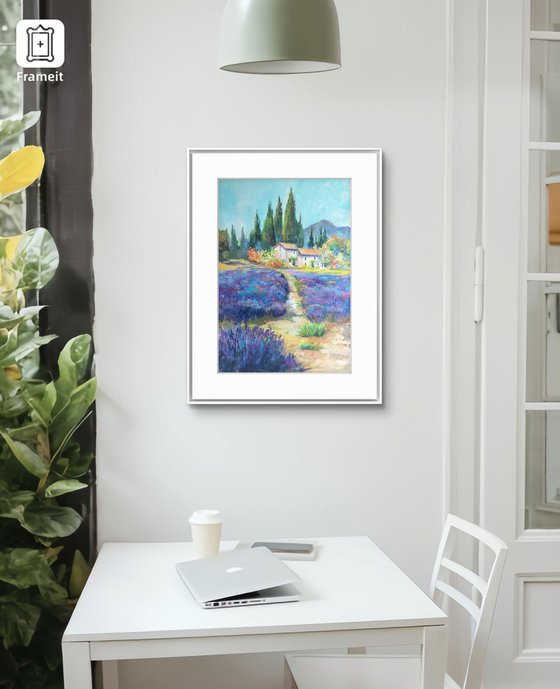 Lavender field