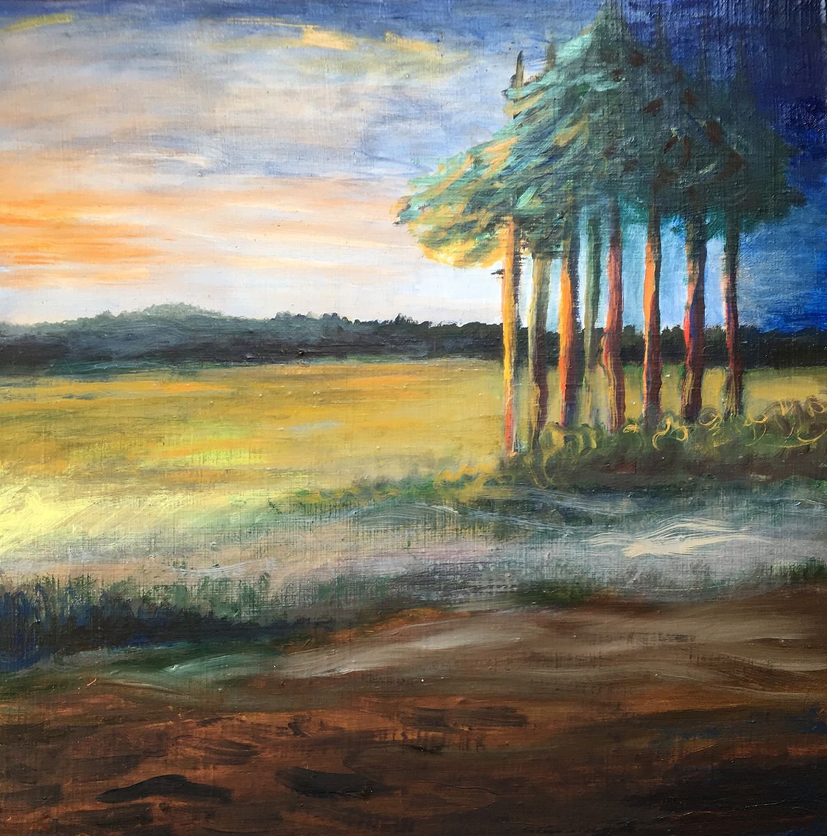 sunset pine trees by Ren Goorman