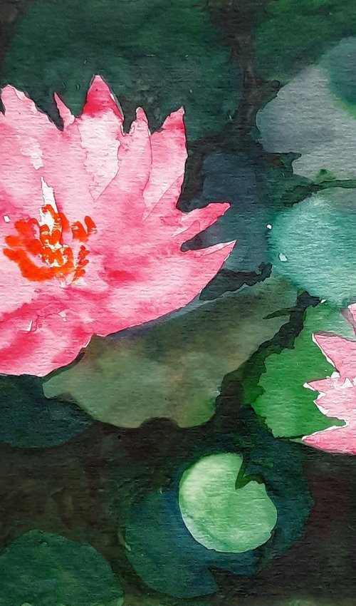 Water lilies SL 19 -  Lily pad by Asha Shenoy