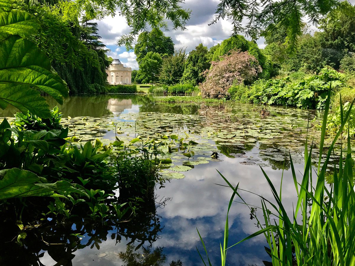 Photorealistic Botanical Photograph By Alex Cassels, 24 X 19, Chi?teau De Bagatelle, Paris, Original Artwork