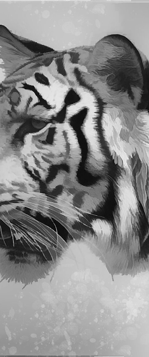 Tiger by Marlene Watson