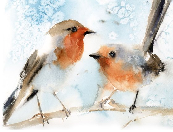 Robin Birds Couple