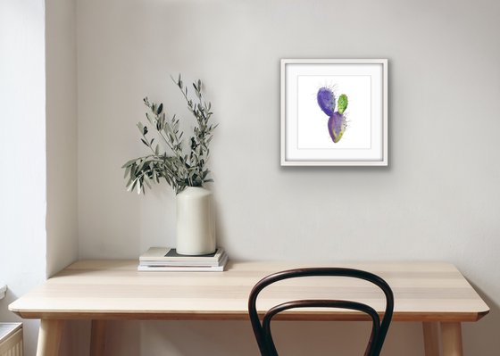 Opuntia. A series of original watercolour artwork.