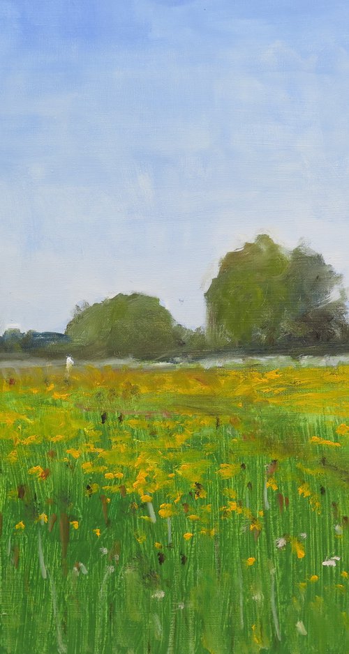 Buttercup Meadow by Malcolm Ludvigsen