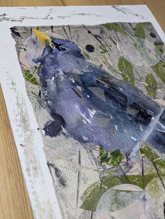 Mixed media starling