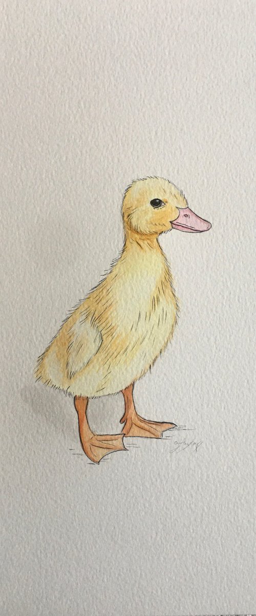 Yellow duckling by Amelia Taylor