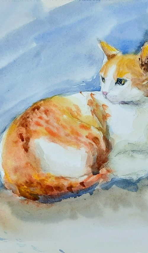 Orange Tabby Cat Shambhavi by Asha Shenoy