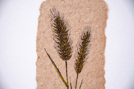 Spikelets drawing on handmade craft paper