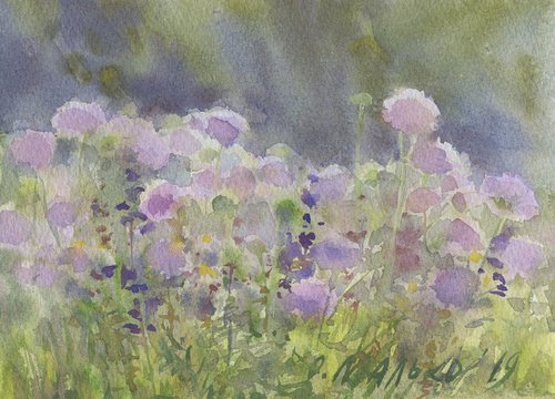Summer flowering. Lavender purple / Meadow landscape Flowers sketch by Olha Malko