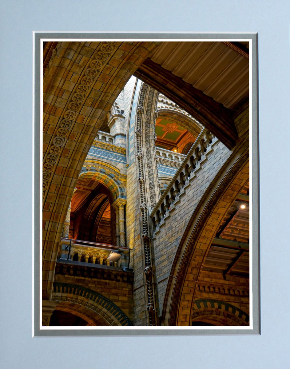 History Museum London by Robin Clarke