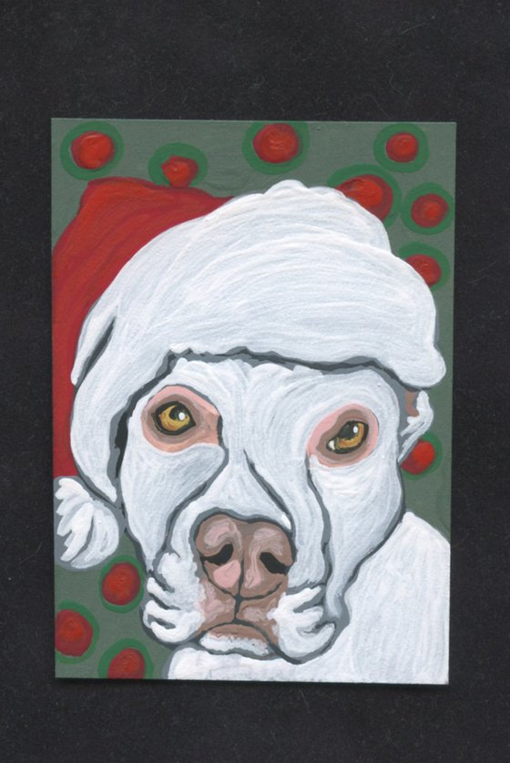 ACEO ATC Original Painting Christmas White Pit Bull Pet Dog Art-Carla Smale