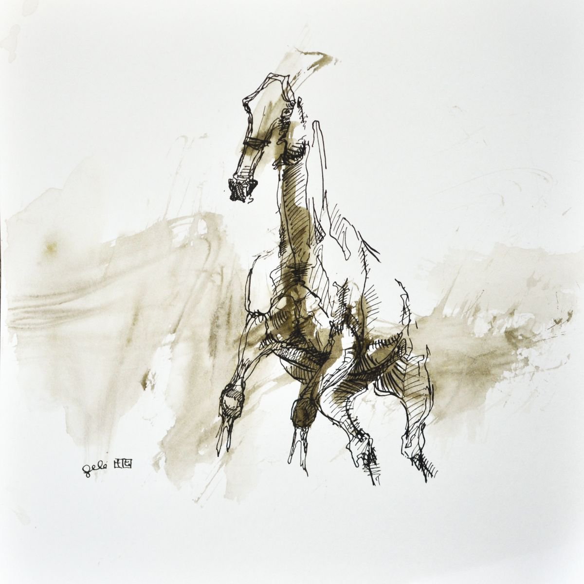 Equine Nude 150 by Benedicte Gele