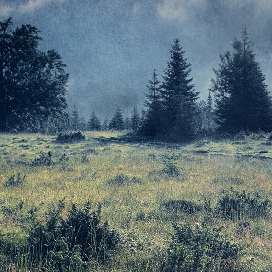 Wall of fog at dawn.