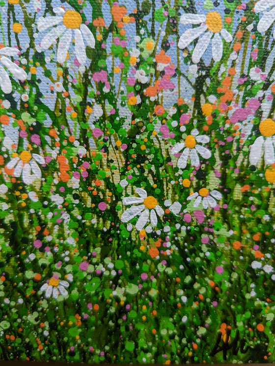 Fresh As A Daisy