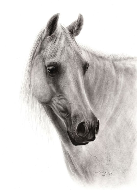 White Horse