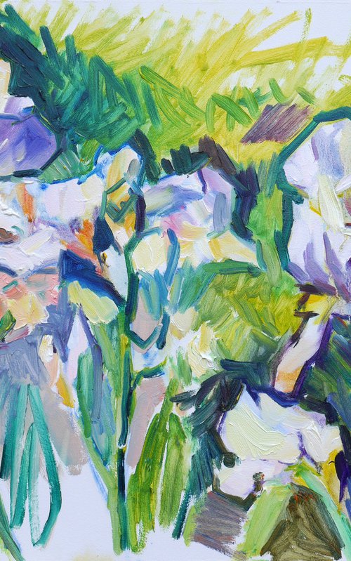White Irises (plein air) by Dima Braga
