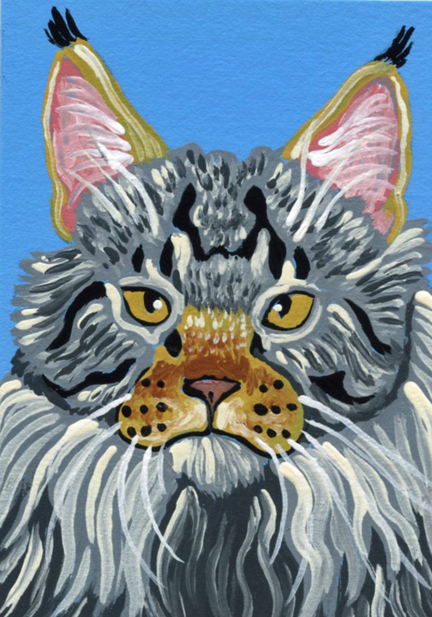ACEO ATC Original Miniature Painting Maine Coon Cat Pet Feline Art-Carla Smale by carla smale
