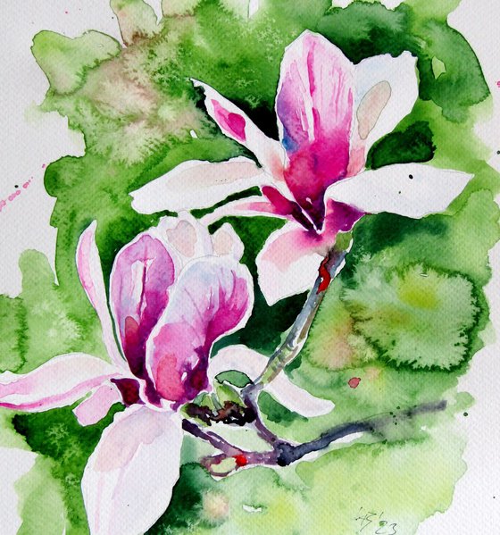 Beautiful magnolia