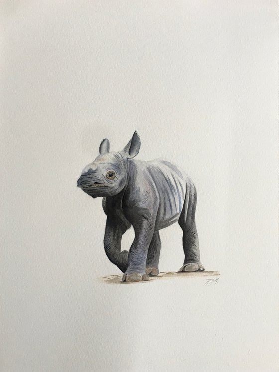 Baby rhino