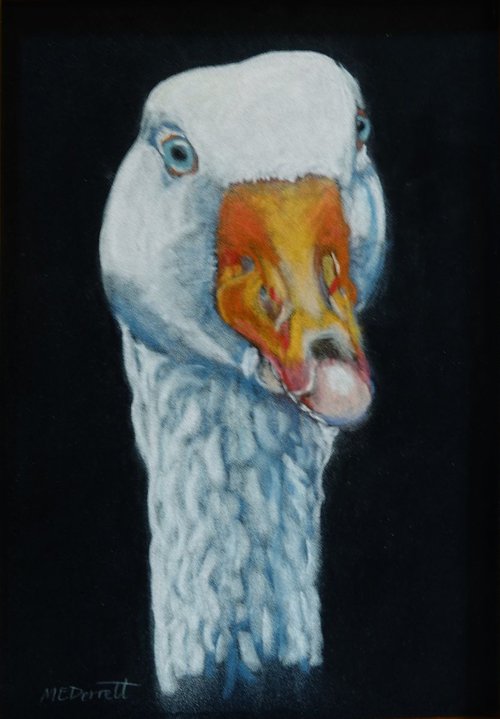 Goose Head by Marion Derrett