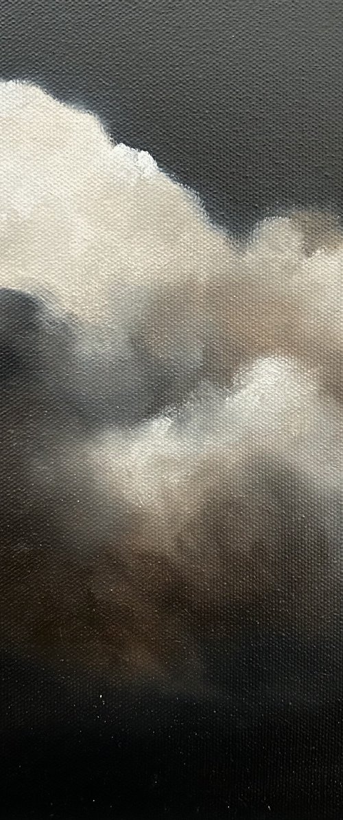 Evening Swept by Meredith B.  Studios