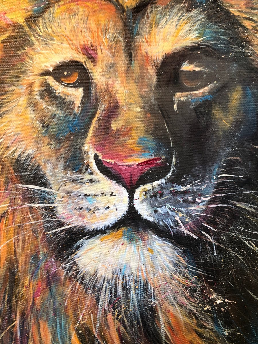Impressionistic Animal Giclee Print By Ewen Macaulay, 20 X 32, Lion Stare, Original Artwork