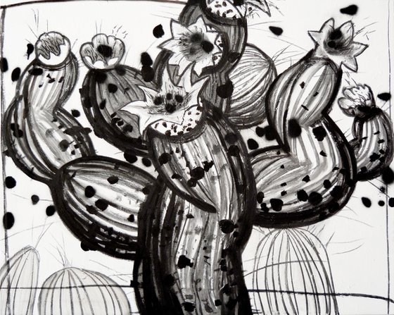 Sur Plants 1