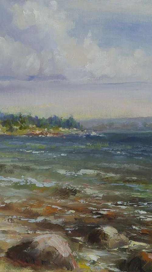 Ocean breeze (plein air) (9x12x0.1") by Alexander Koltakov