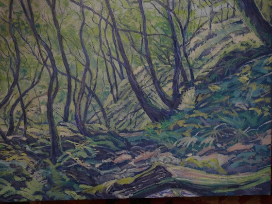 At the Moor Brook, Dartmoor