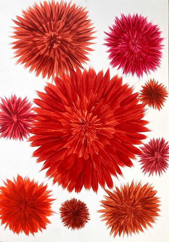 Dahlia season