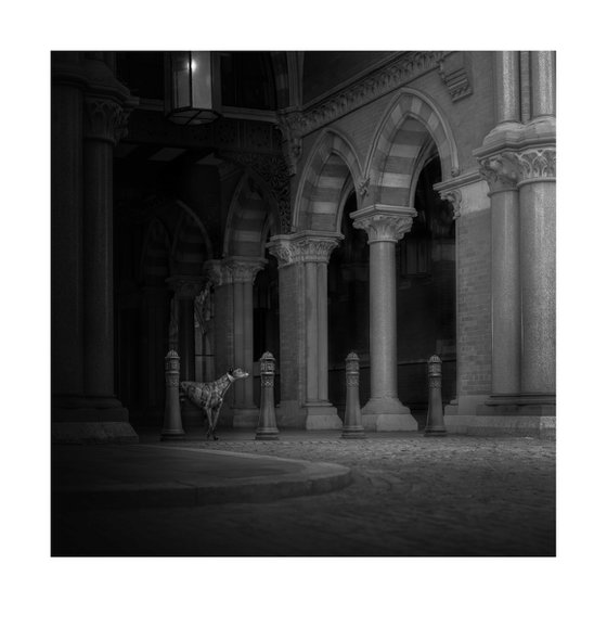Greyhounds of London II