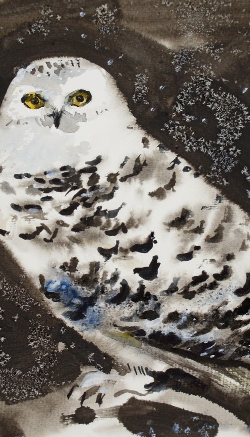 Polar owl by Elena Sanina