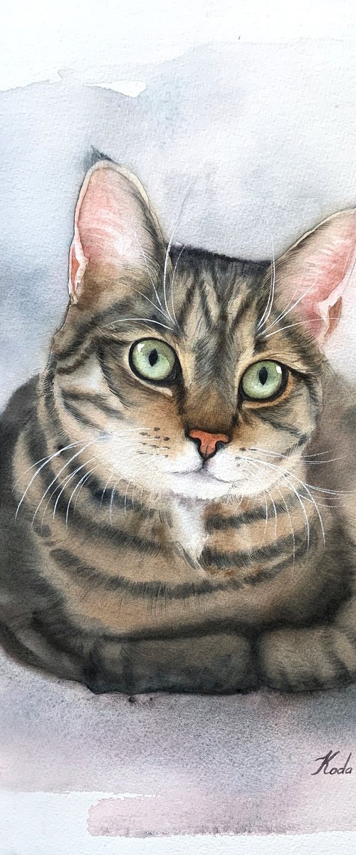 Cat portrait by Tetiana Koda