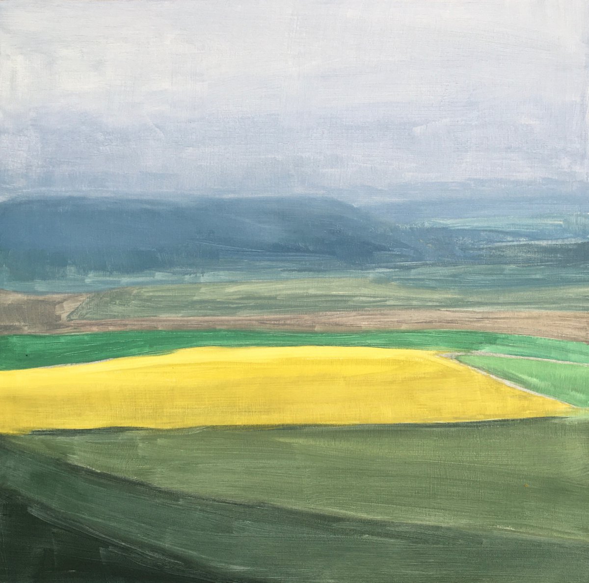 Abstract Landscape Oil Painting By Lizzie Butler, 12 X 12", Field Of Sunshine, Spring, Original Artwork