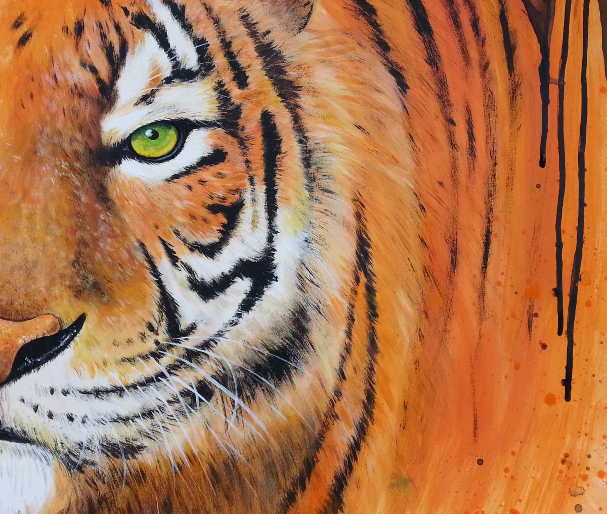 Siberian tiger - Amur tiger by Olga Beliaeva Watercolour