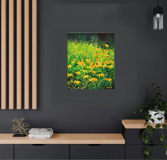 Yellow rudbeckias -6723